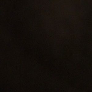 Meet your Posher, Drake